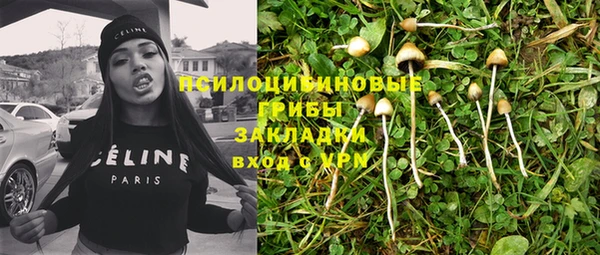 стафф Богородицк