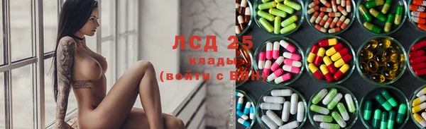 apvp Богданович