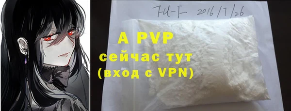 apvp Богданович
