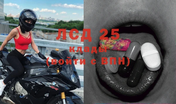 apvp Богданович