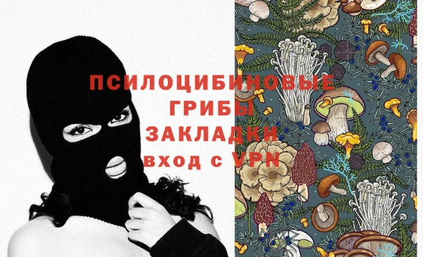 apvp Богданович