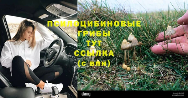 стафф Богородицк