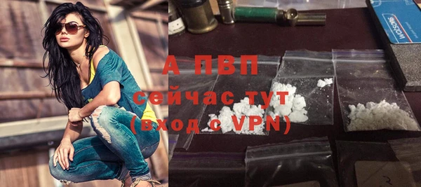 стафф Богородицк