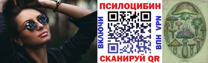 Псилоцибиновые грибы Psilocybe  наркота  Михайлов 